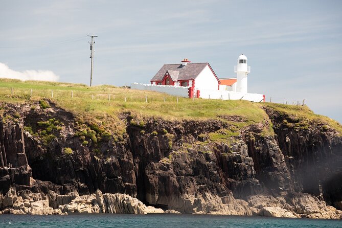 Boat Tour of Dingle Peninsula - Best Seat for Photos: Starboard (Right) Is the Play