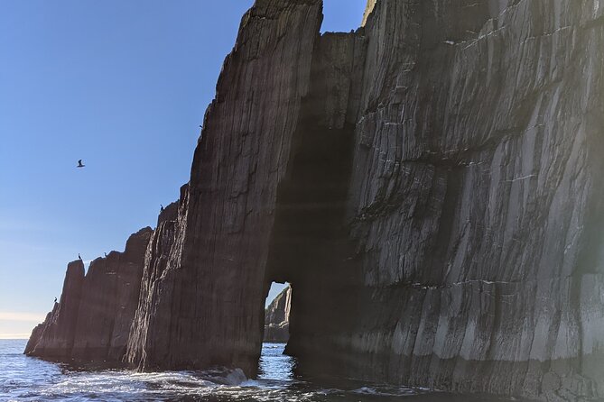 Boat Tour of Dingle Peninsula - Weather and Comfort: When the Sea Gets Wiggly