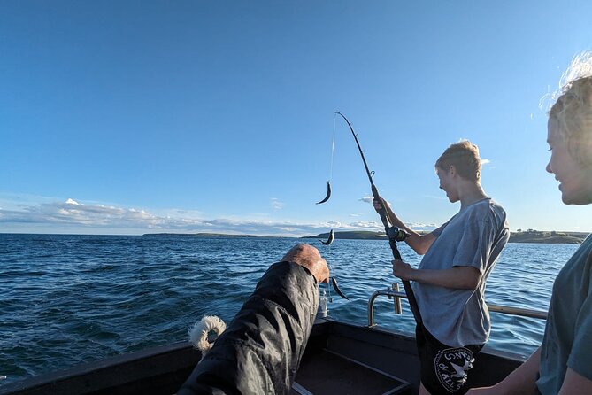 Boat Tour of Kinsale Harbour and Bandon River - Key highlights at a glance