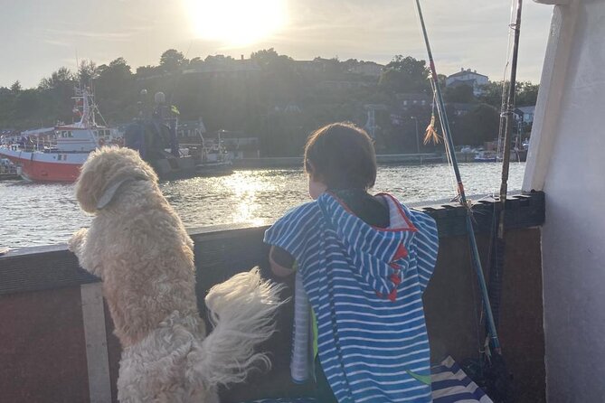 Boat Tour of Kinsale Harbour and Bandon River - A 3 to 4 hour rhythm that fits real vacation pacing