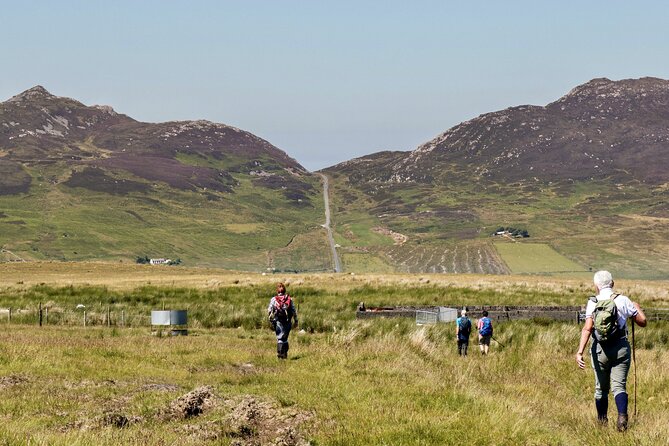 Bog Safari Hike - Key highlights you should know before you go