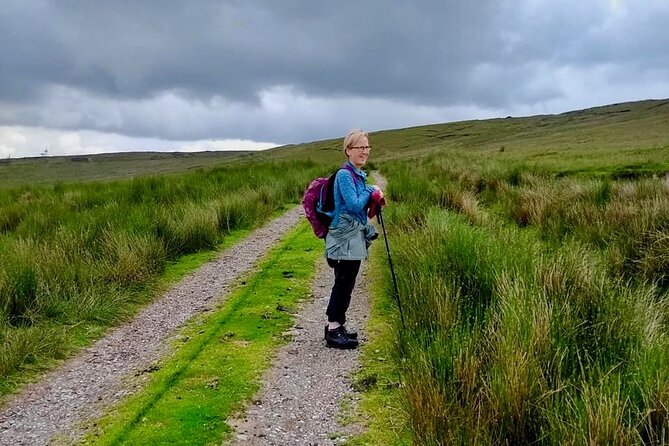 Bog Safari Hike - The 2-Hour Timing That Makes This a Smart Add-On Day Plan