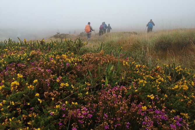 Bog Safari Hike - Stop 1 on the Wild Atlantic Way, From Bog Formation to Monastic Traces