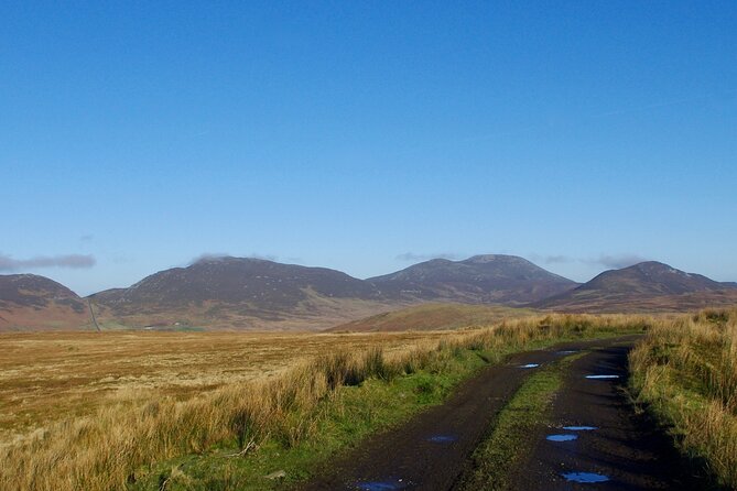 Bog Safari Hike - Wild Views Without the Usual Crowds