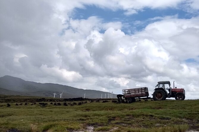 Bog Safari Hike - Green Energy Mention, and Why It Works in a Walk Like This