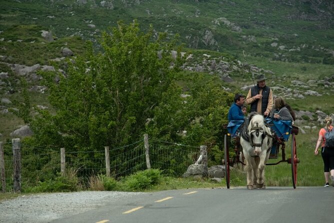 Bus, Boat & Jaunting Cart Tour (Jaunting Cart Paid Separately) - Stop-and-see moments you will appreciate more than you expect