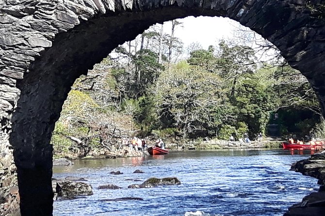 Bus & Boat Tour - Choosing the boat start: Ross Castle grounds before you cruise