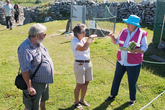 Caherconnell Fort & Sheepdog Demonstrations - Caherconnell In The Burren: A Small-Group Stop That Packs Two Worlds