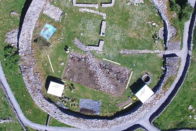 Caherconnell Fort & Sheepdog Demonstrations - Choosing Audio Guide vs. Guided Focus (And When Each Works)