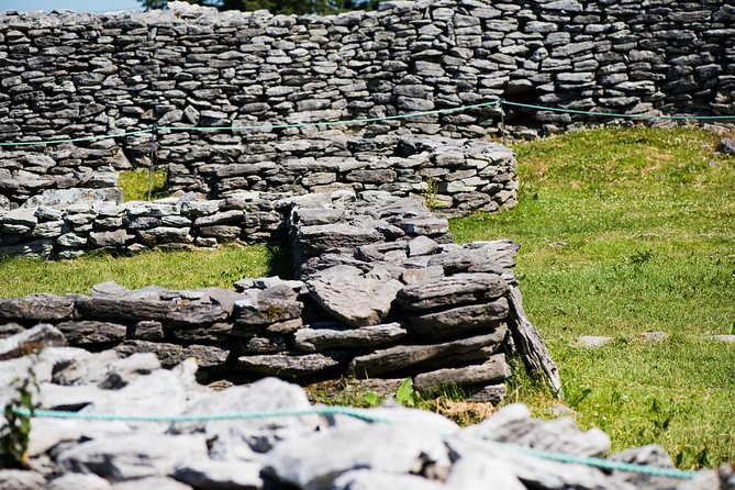 Caherconnell Fort & Sheepdog Demonstrations - Sheepdog Demonstrations: Border Collies Doing What They Were Built For