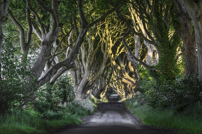Chauffeur Giants Causeway & Belfast Private Day Tour From Dublin - Key Highlights You’ll Feel Immediately