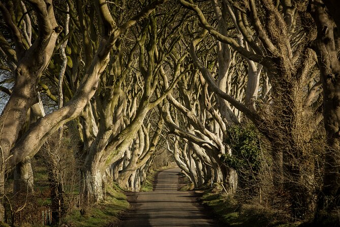 Chauffeur Giants Causeway & Belfast Private Day Tour From Dublin - Dunluce Castle Quick Photos and the Belfast City Hall Walk