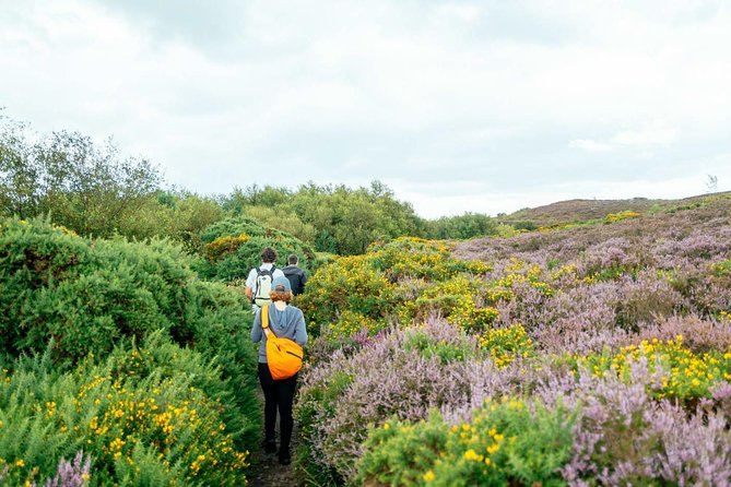 City Explorer: Howth Private Day Trip - Meeting Point and End Location, So You Don’t Lose Time