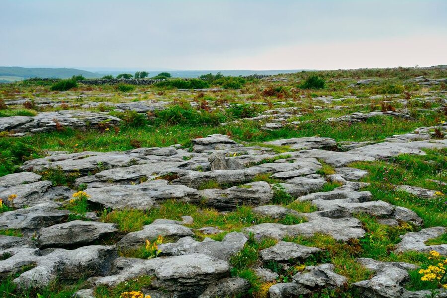 Cliffs of Moher and Blarney 2-Day Tour from Dublin - County Clare and the Burren’s otherworldly terrain
