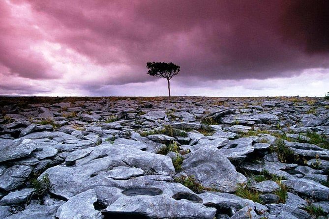 Cliffs of Moher, Aran Island & Burren tour from Galway. Guided. - Inisheer: the smallest Aran Island, and how to use your free time