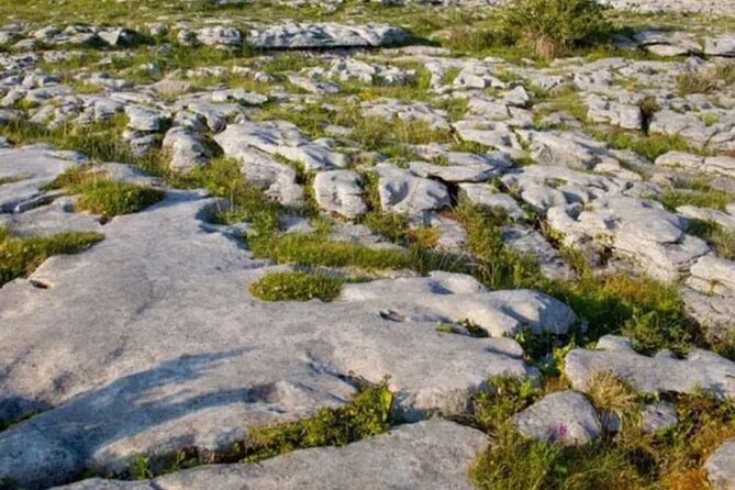 Cliffs of Moher, Burren and Galway 2 Days Private Chauffeur Tour - The Doolin Harbour break you get on the way
