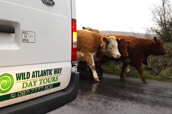 Cliffs of Moher & Burren Day Tour with a 2 hour stop at Cliffs - Ballyvaughan, the Wild Atlantic Way, and Lisdoonvarna: villages you can picture