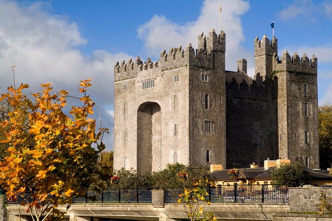 Cliffs of Moher Day Tour from Dublin: Including The Wild Atlantic Way - Coach comfort, timing tips, and how to get the best views