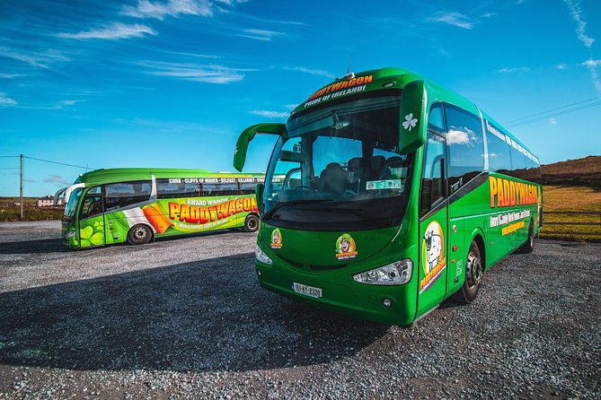 Cliffs of Moher Day Tour from Limerick: Wild Atlantic Way - Liscannor lunch hour: small village, big coast views