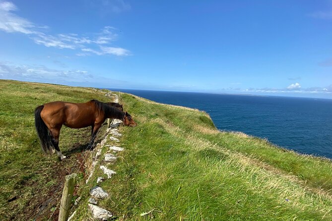 Cliffs of Moher Hiking Tour from Galway - Small Group - The Doolin-to-Cliffs Walk: 5 Miles, Real Views, and Plenty of Breaks