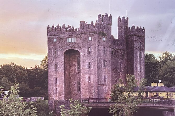 Cliffs of Moher Private Tour from Killarney - Vehicle choice and group size: what $904.50 buys you
