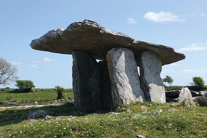 Cliffs of Moher Private Tour from Killarney - Who this tour is best for