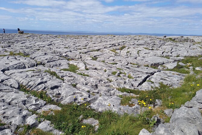 Cliffs of Moher & Sheepdog Demonstrations from Galway - Burren Coast Road drive: photos on your own schedule