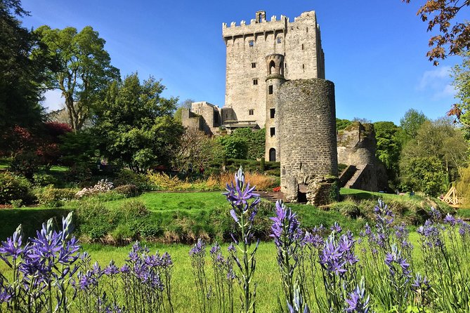 Cobh (Cork) to Blarney Castle & Kinsale - Shore Excursion - Cork city drive-by: live narration that makes the landmarks make sense