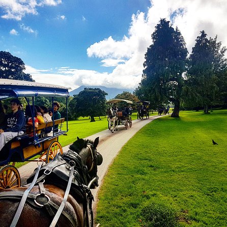 Combination Killarney Jaunting Car Tour and Lakes of Killarney Cruise - Timing, Check-In, and Finding the Wooden Bridge Meeting Area