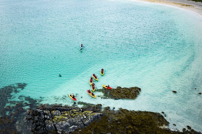 Connemara Coastal kayaking - Wildlife and history: what the guides point out while you paddle