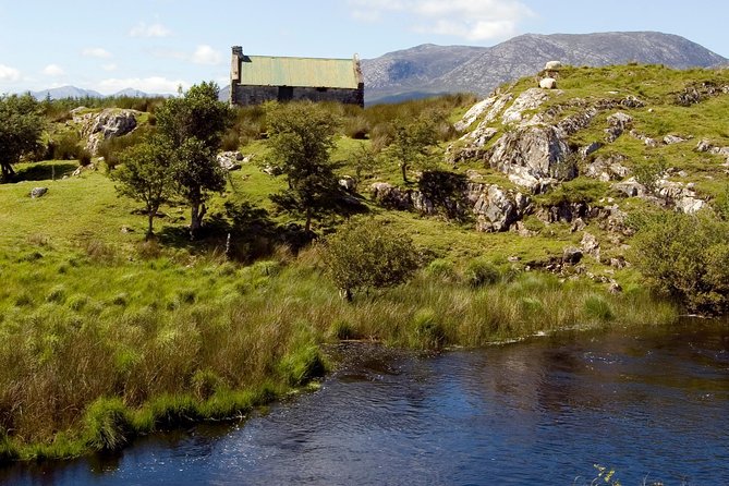 Connemara & Connemara National Park day tour from Galway. Guided. - Choosing Your Main Event: Connemara National Park Or Kylemore Abbey