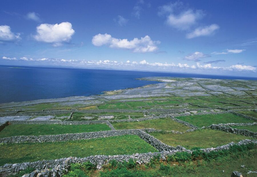 Connemara/Galway: Inis Meáin Return Ferry Transfer - Key Highlights You’ll Care About