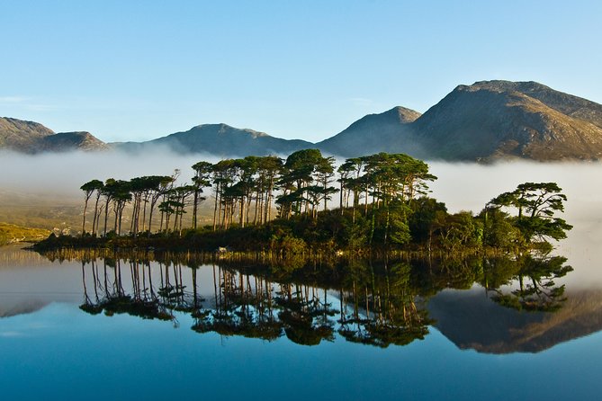 Connemara, Kylemore Abbey and Wild Atlantic Way tour from Galway - Quick take: what stands out