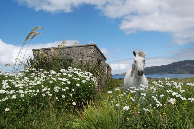 Connemara, Kylemore Abbey and Wild Atlantic Way tour from Galway - Clifden, then the Sky Road viewpoint that makes the whole day click