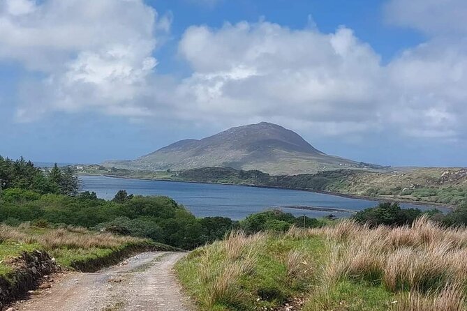 Connemara Sheep Farm experience & Kylemore Abbey by Lux Limousine - Price and value, what your money buys