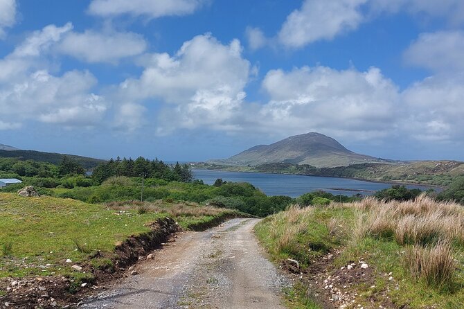 Connemara Sheep Farm experience & Kylemore Abbey by Lux Limousine - Connemara by road: fjord views, bogland breaks, and Irish language areas