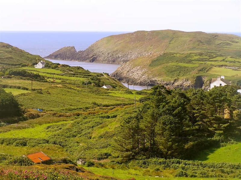 Cork: Fastnet Rock Lighthouse and Cape Clear Island Tour - From Baltimore or Schull to Roaring Water Bay on the ferry