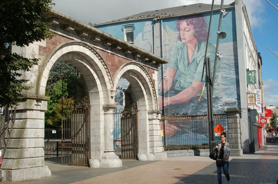 Cork: Guided Historical Walking Tour - St Finbar’s Cathedral, South Gate Bridge, and Elizabeth Fort