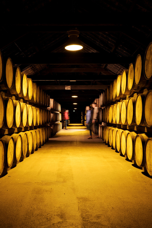 Cork: Midleton Distillery Behind the Scenes Tour & Tasting - Microdistillery: where the production story starts