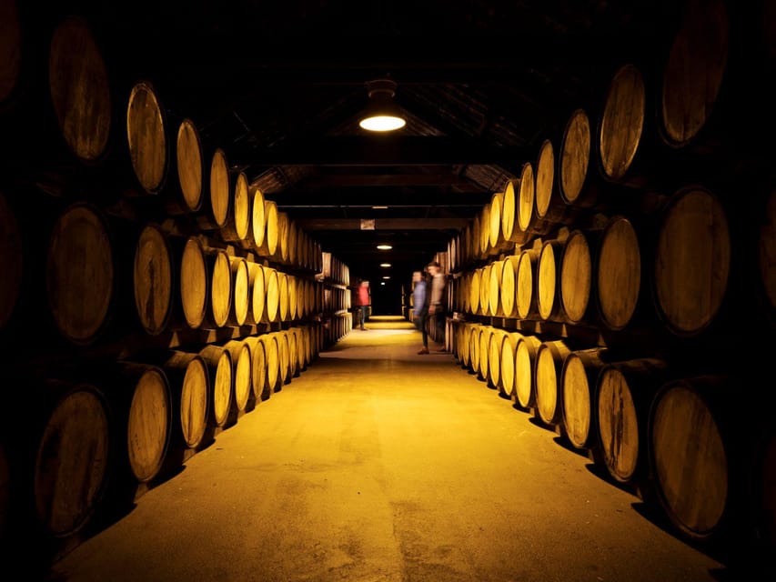 Cork: Midleton Distillery (Jameson) Premium Whiskey Tasting - The four premium pours, and how to taste like you mean it