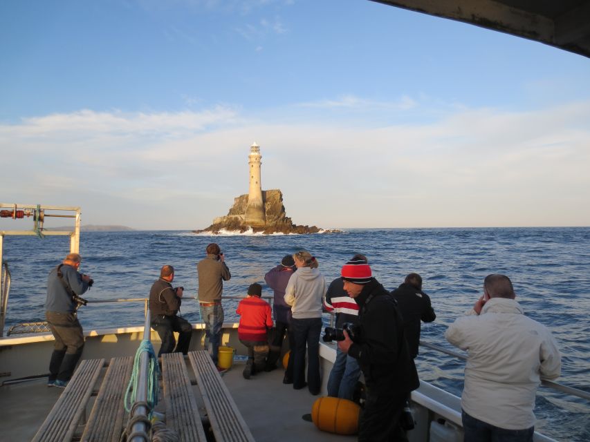 County Cork: Whale & Dolphin Watching Boat Trip - What to bring: your personal sea-weather kit