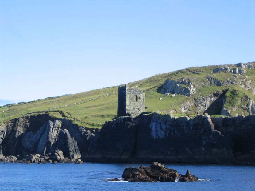 County Cork: Whale & Dolphin Watching Boat Trip - What you’re likely to see: whales, dolphins, seals, seabirds, and more