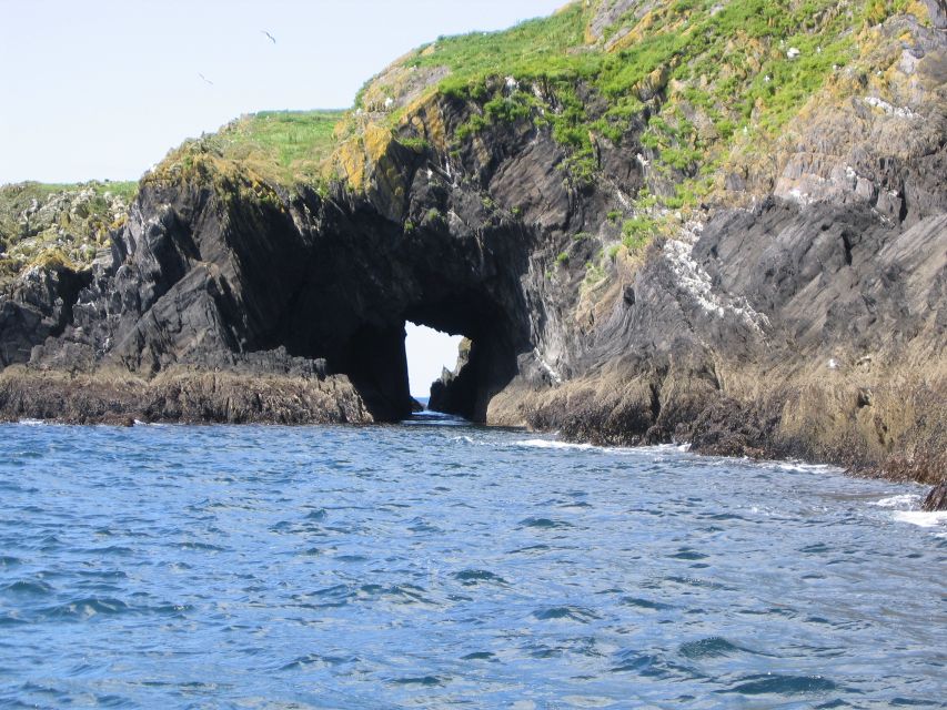 County Cork: Whale & Dolphin Watching Boat Trip - Comfort that makes the difference: indoor warmth, outdoor deck time