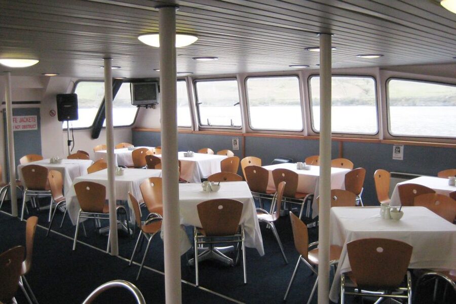 County Galway Killary Fjord 1.5-Hour Sightseeing Cruise - Where Killary Fjord Cruises Really Shine in 90 Minutes