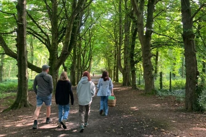 Courtown Woodland Guided Tour - Courtown Woods guided tour: why this walk feels different in County Wexford