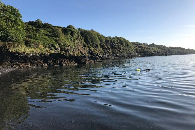 Dawn Pilgrimage and Swim in West Cork - Who this tour is best for (and who might skip it)