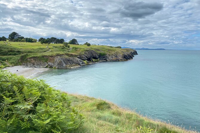 Day Tour from Dublin to Wicklow: Cliffs, Heritage, Wildlife, Gaol - Key highlights at a glance