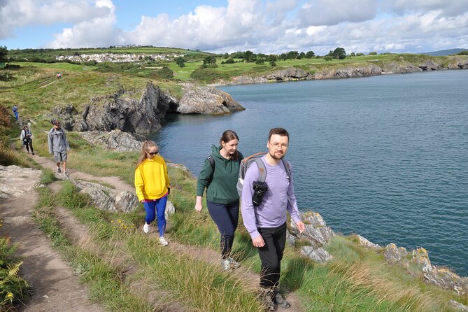 Day Tour from Dublin to Wicklow: Cliffs, Heritage, Wildlife, Gaol - Three Lighthouses and What They Do Today