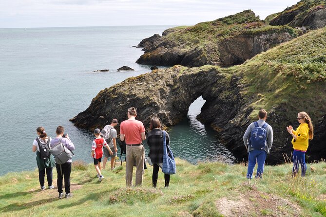 Day Tour from Dublin to Wicklow: Cliffs, Heritage, Wildlife, Gaol - Wicklow Town: Vikings, St Patrick, and Vartry River Views