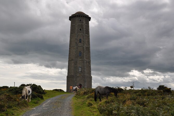 Day Tour from Dublin to Wicklow: Cliffs, Heritage, Wildlife, Gaol - Norman Ruins and Wicklow Gaol: The Tougher Side of the Day